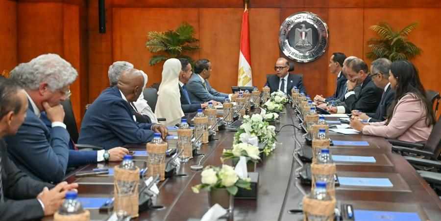 UAE-based Al Futtaim plans expansion in Egypt’s logistics, energy sectors

